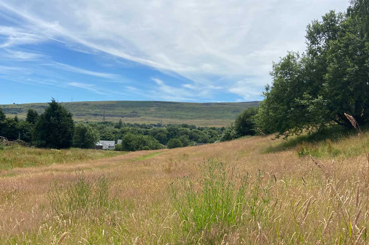 Cefn-Don