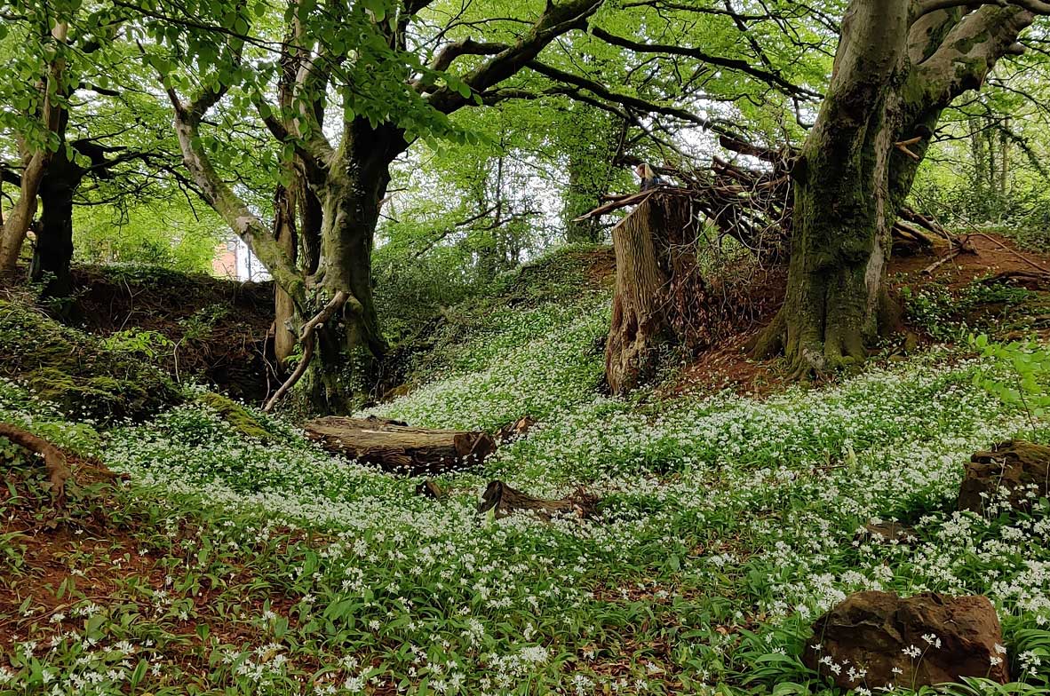 Cefn-Yr-Hendy