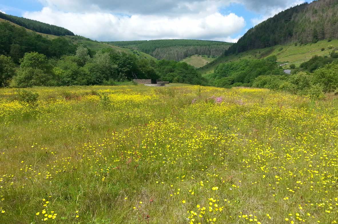 Cwm-Clydach-2