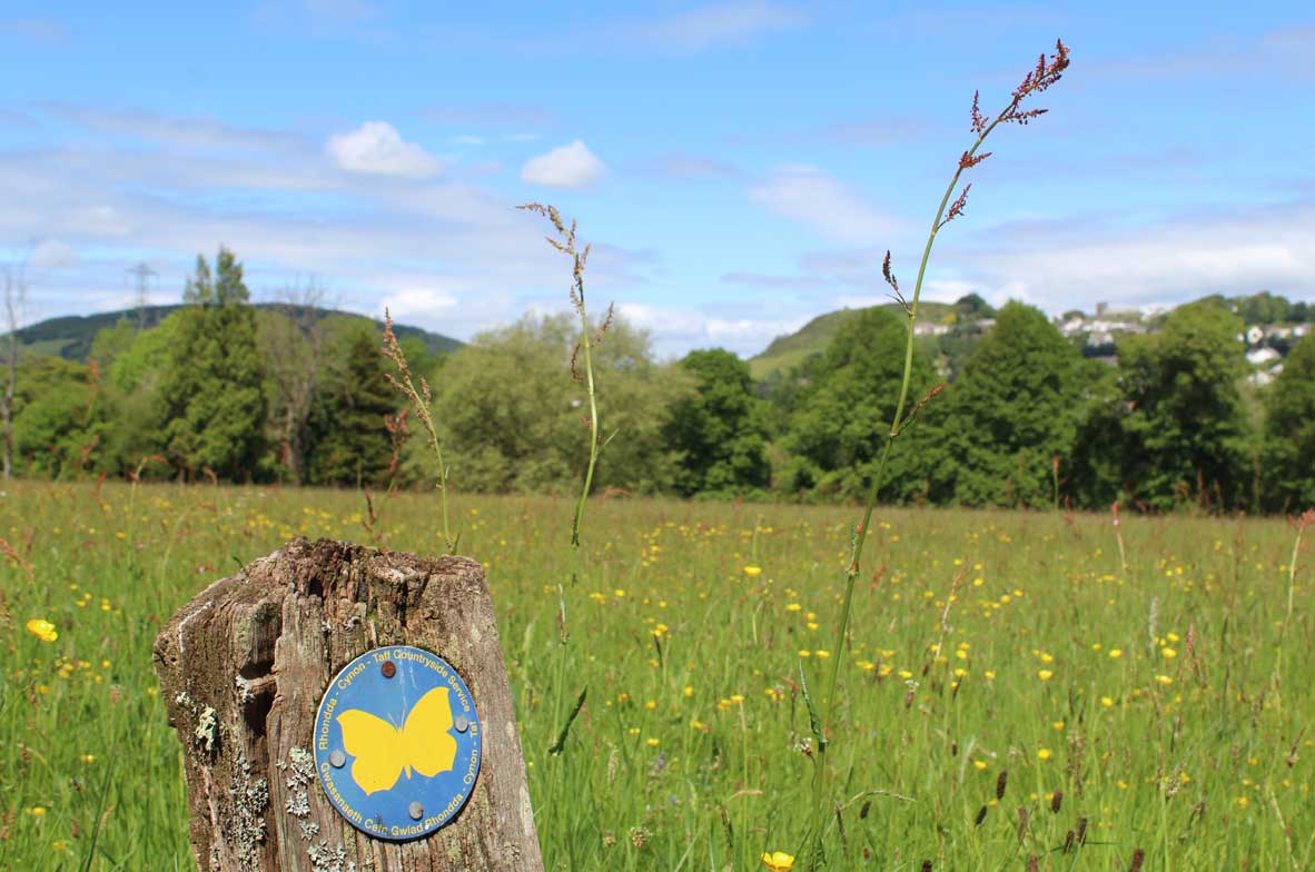 Mynwent-Cefn-y-Parc