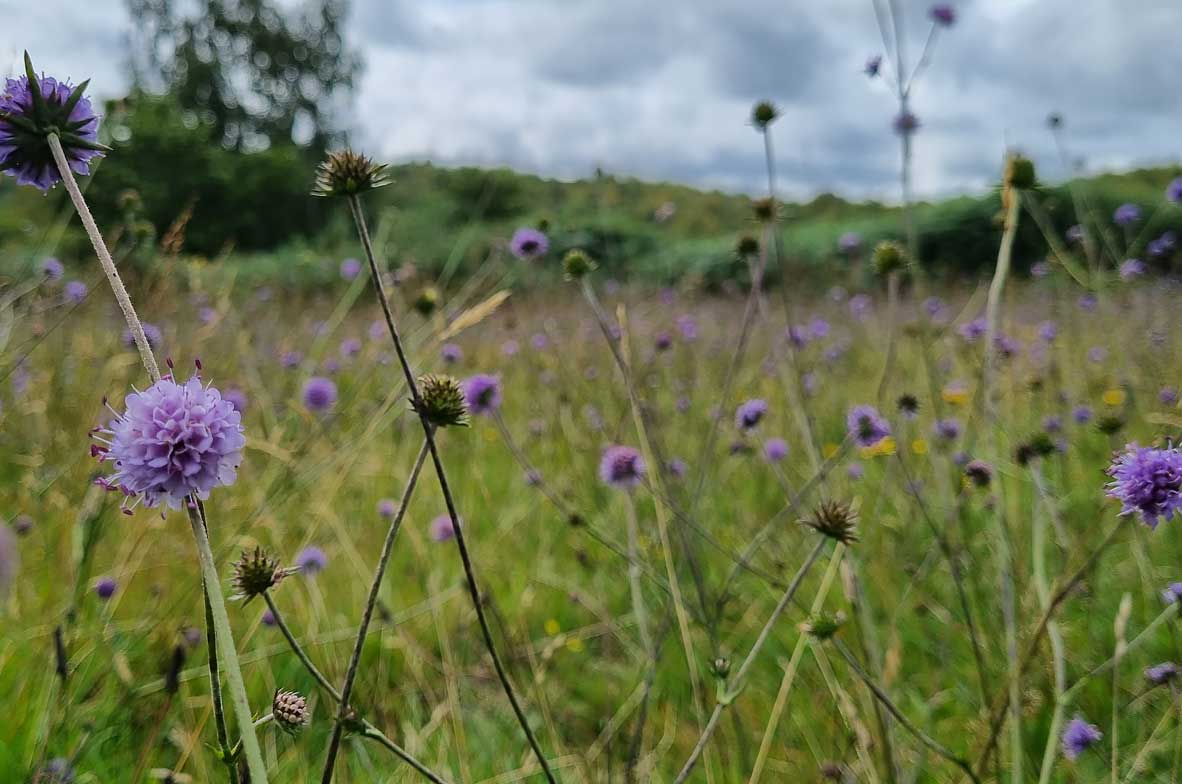 Rhos-Llanilltud-Faerdref